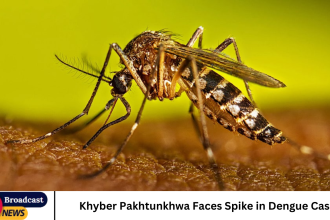 Khyber Pakhtunkhwa Faces Spike in Dengue Cases