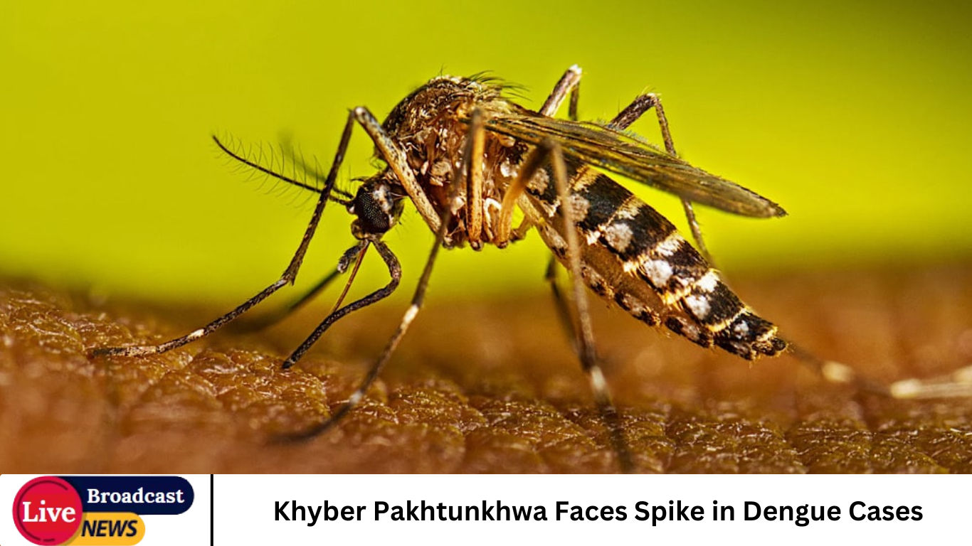 Khyber Pakhtunkhwa Faces Spike in Dengue Cases